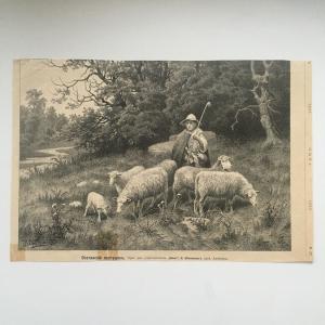 Дореволюционная иллюстрация 1888  из журнала Нива, Осетинский пастушок