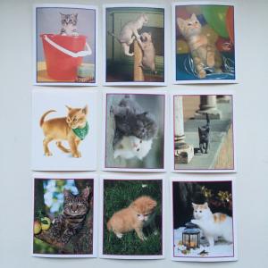 Наклейка для альбома 1999 Merlin Приключения котят, Precious Kitties, 9 шт. цена за все
