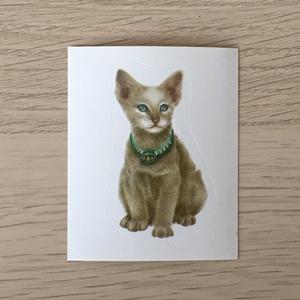 Наклейка для альбома 1999 Merlin Приключения котят, Precious Kitties, номер 16