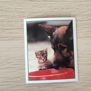 Наклейка для альбома 1999 Merlin Приключения котят, Precious Kitties, номер 83