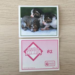 Наклейка для альбома 1999 Merlin Приключения котят, Precious Kitties, номер 82