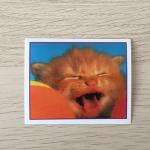 Наклейка для альбома 1999 Merlin Приключения котят, Precious Kitties, номер 43