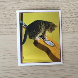 Наклейка для альбома 1999 Merlin Приключения котят, Precious Kitties, номер 36