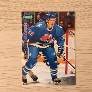 Спортивная карточка 1994  Parkhurst NHL NHLPA, номер SE144