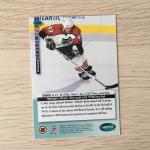 Спортивная карточка 1994  Parkhurst NHL NHLPA, номер SE125