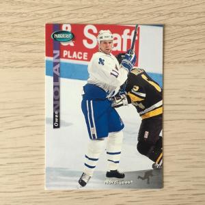 Спортивная карточка 1994  Parkhurst NHL NHLPA, номер SE143