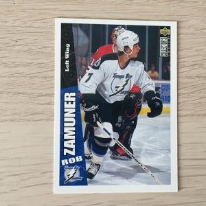 Спортивная карточка 1996  Upper deck collectors choice, NHL, NHLPA, номер 248