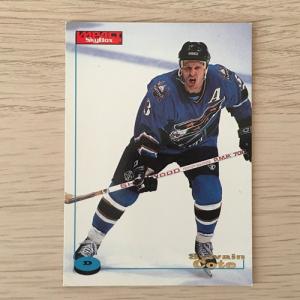 Спортивная карточка 1996  SKYBOX Impact NHL 1996-1997, NHLPA, номер 138