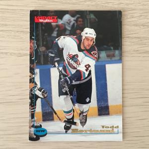 Спортивная карточка 1996  SKYBOX Impact NHL 1996-1997, NHLPA, номер 74