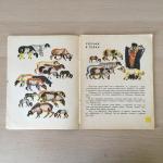 Книга детская СССР 1969 Малыш М. Геттуев, Едет мальчик на ослике