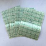 Купоны 1991  Февраль, суррогатное плат.средство, Эрзац-деньги, зеленый