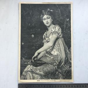 Дореволюционная иллюстрация 1890  из журнала Нива, Бабочки, М.Е.Вилль, гравюра К. Бодъ