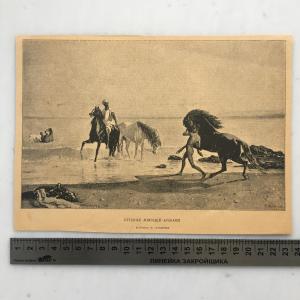 Дореволюционная иллюстрация   Купание лошадей арабами, картина П. Тавернье