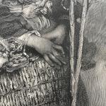Дореволюционная гравюра 1895  Парижские птицы, Анджело Далль Ока Бьянка