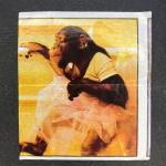 Вкладыш от жевательной резинки   из 90-ых, Carnaval, Карнавал, про обезьянку Читу