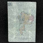 Вкладыш от жевательной резинки 1990  из 90-ых, Tom and Jerry, Том и Джерри, тату, ГДР