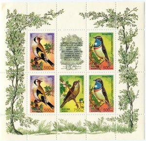 Лист марок России 1995  Певчие птицы России