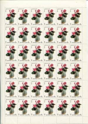 Лист марок СССР 1984  Лотос орехоносный