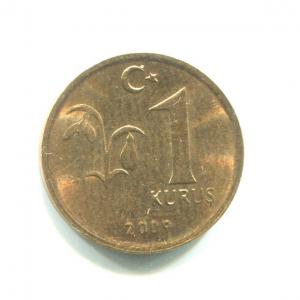 Монета 2009  1 куруш, Турецкая Республика