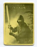 Календарь   XX века, Ninja, Ниндзя