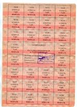 Купоны 1991  Февраль, суррогатное плат.средство, Эрзац-деньги, красный