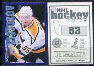 Наклейка для альбома 1998  Panini NHL Hockey 98-99, номер 53