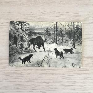 Почтовая карточка   Зимняя охота на лося с собаками, 8,5х13,5 см. до 1917